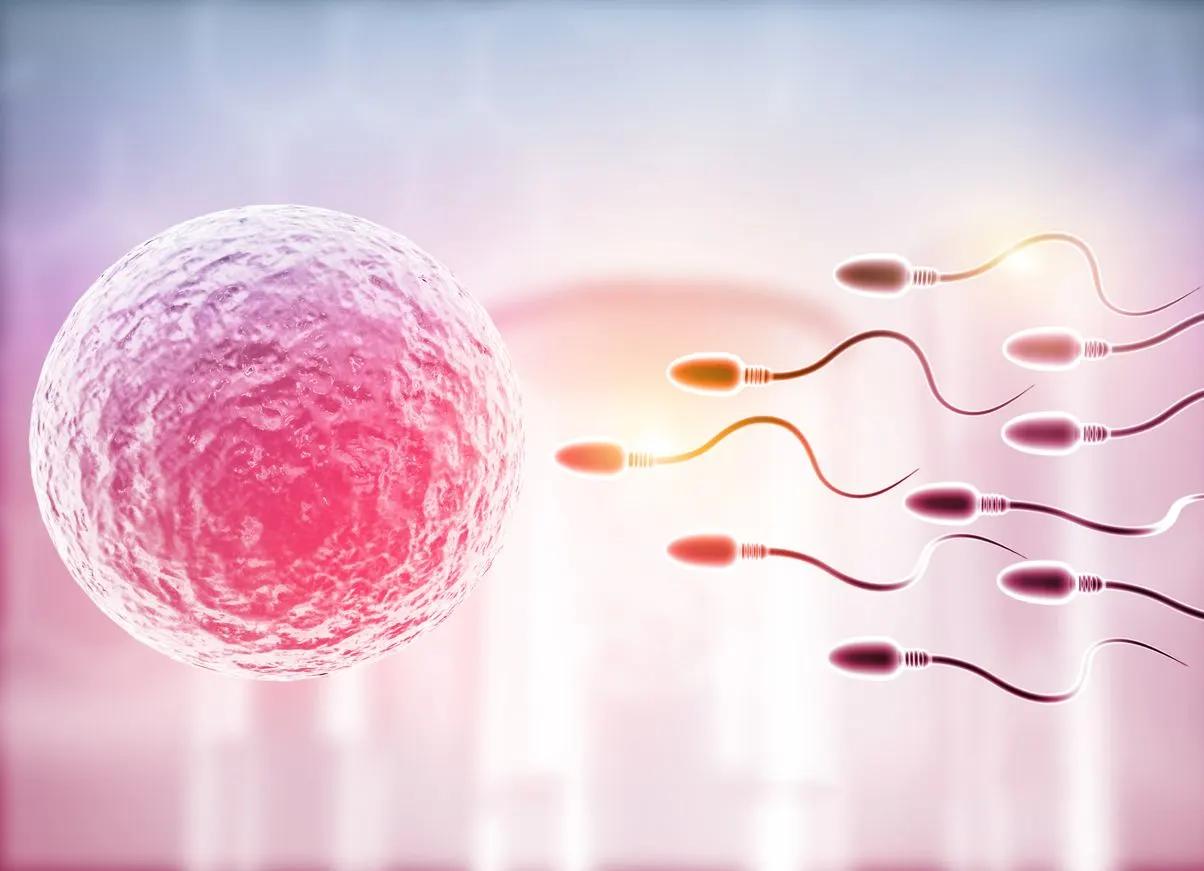 Microplastics: The latest killer of male fertility?