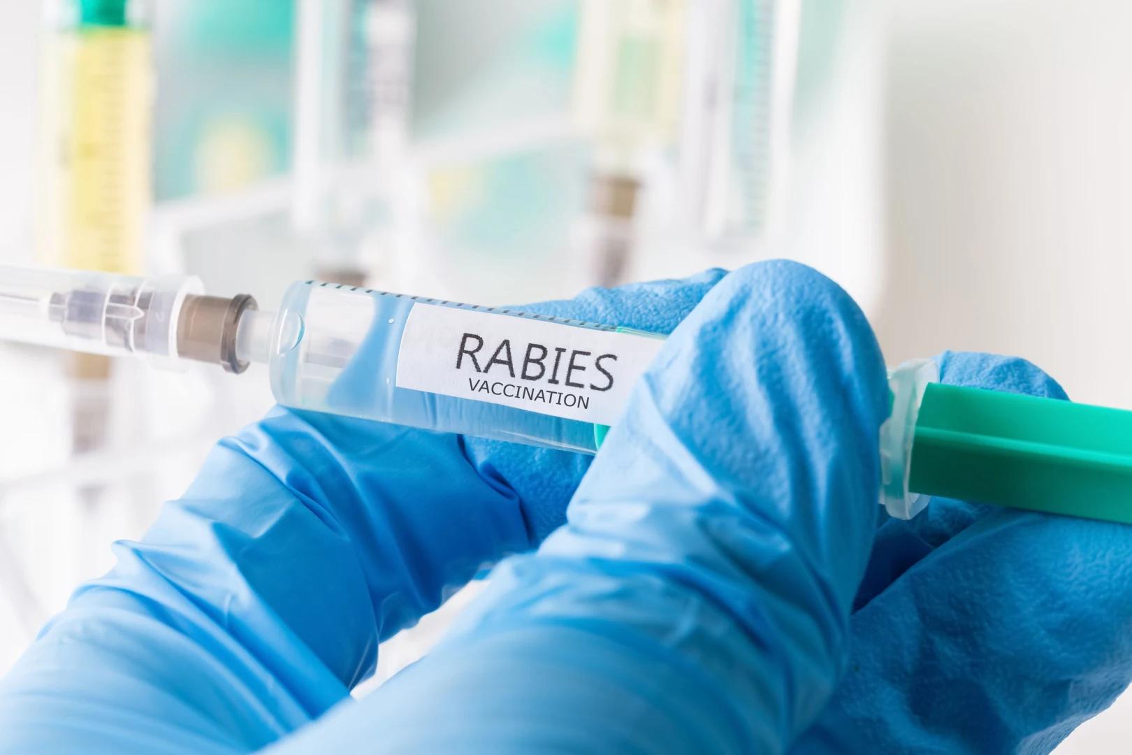 Israel government investigating rabies vaccine for animals after 10 adverse events