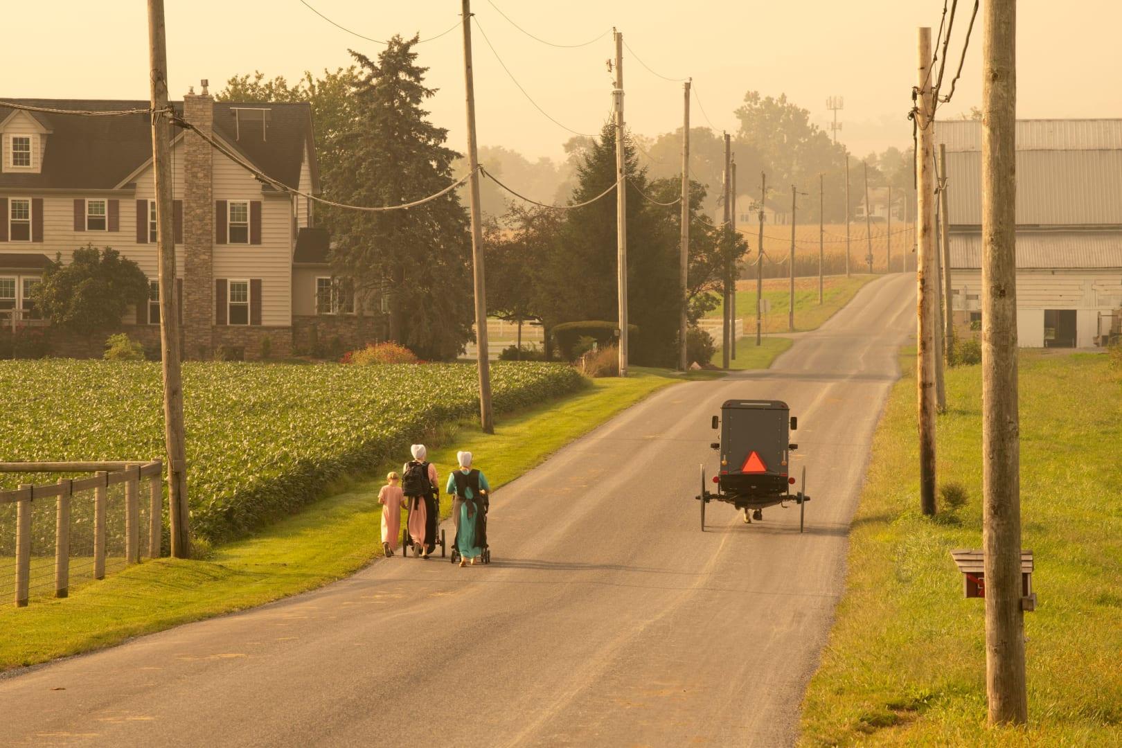 Amish farmer faces fines, prison time for refusing to comply with USDA regulations