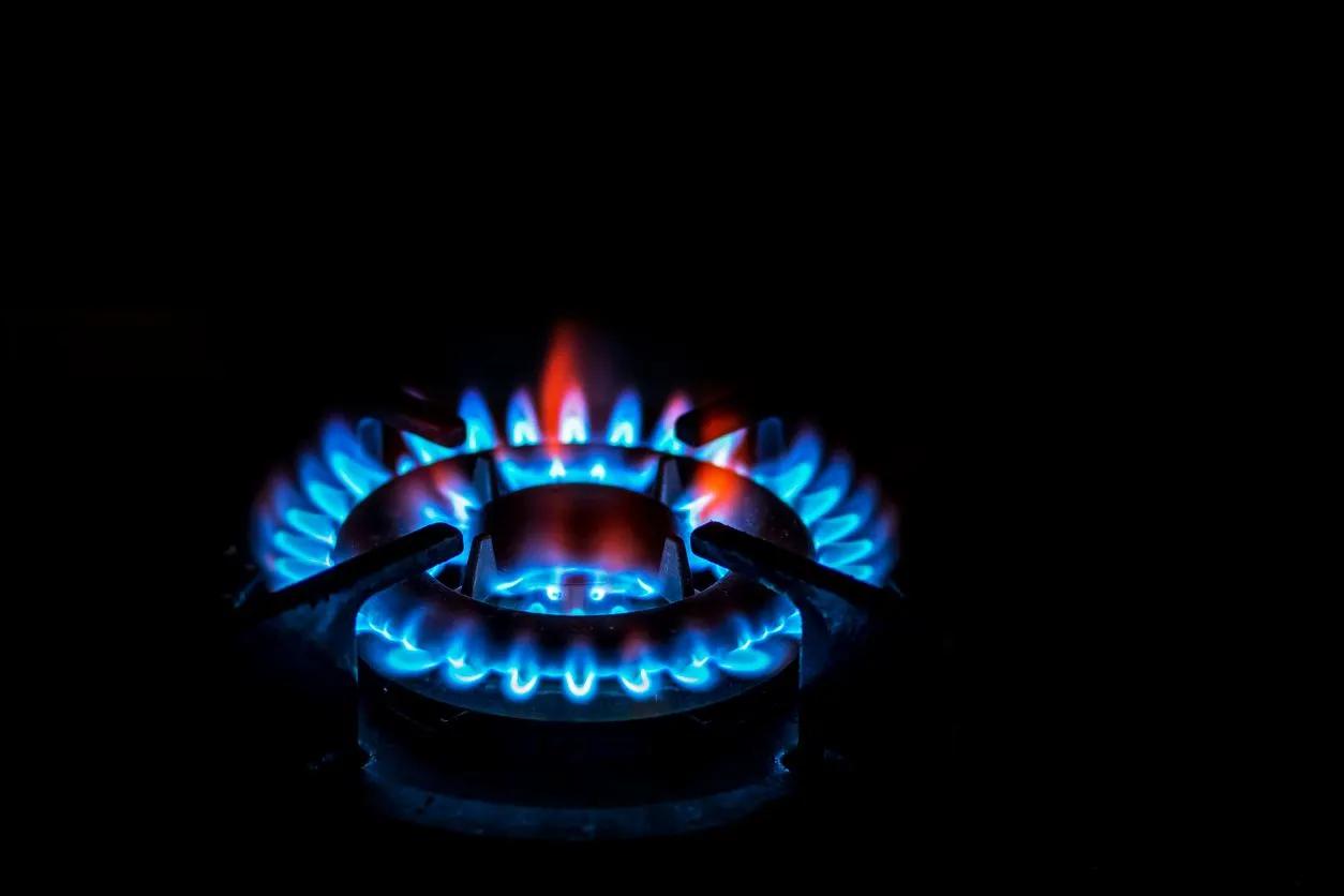 New York becomes first state to ban clean natural gas stoves, furnaces to 'fight climate change'