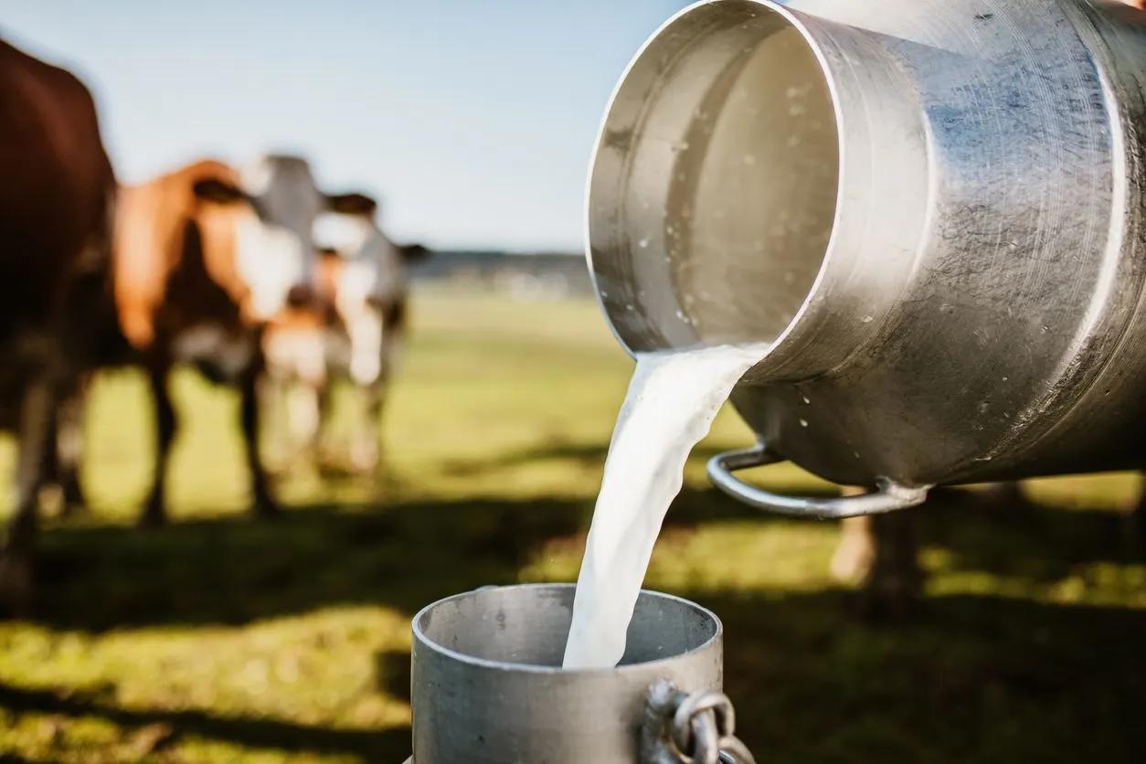 Fake milk CEO: Dairy ‘has no right to exist’ due to ‘climate change’