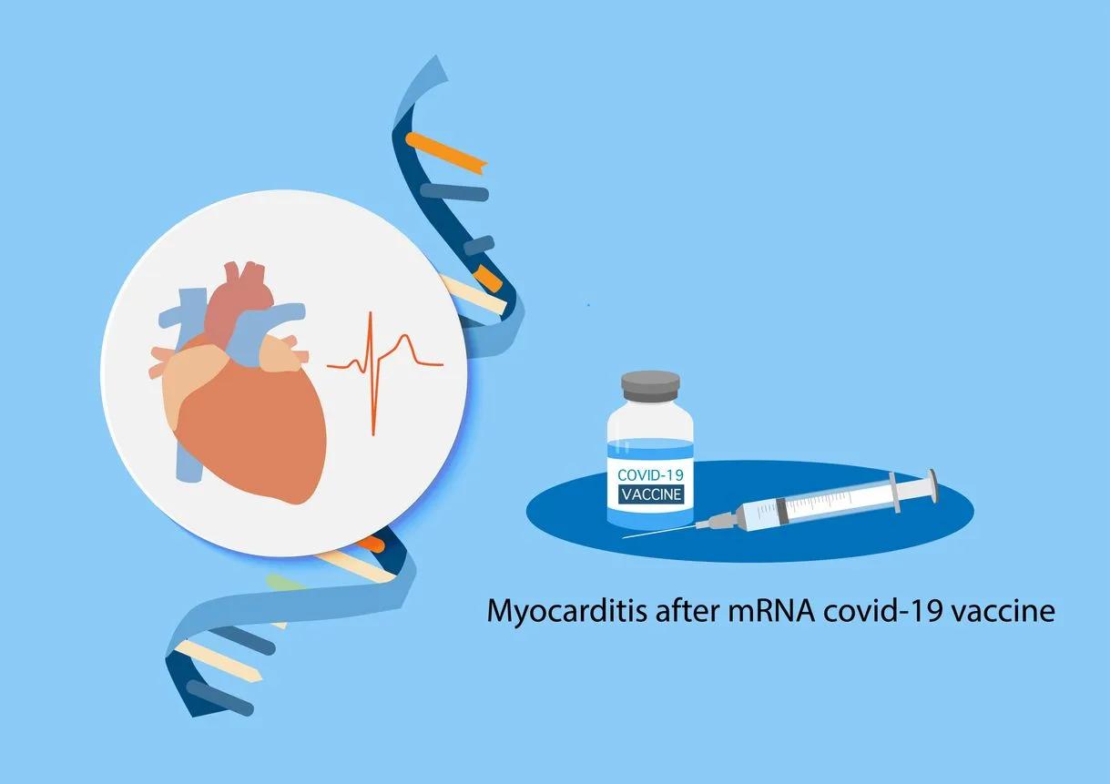 Despite government claims, myocarditis found not temporary after COVID mRNA injection