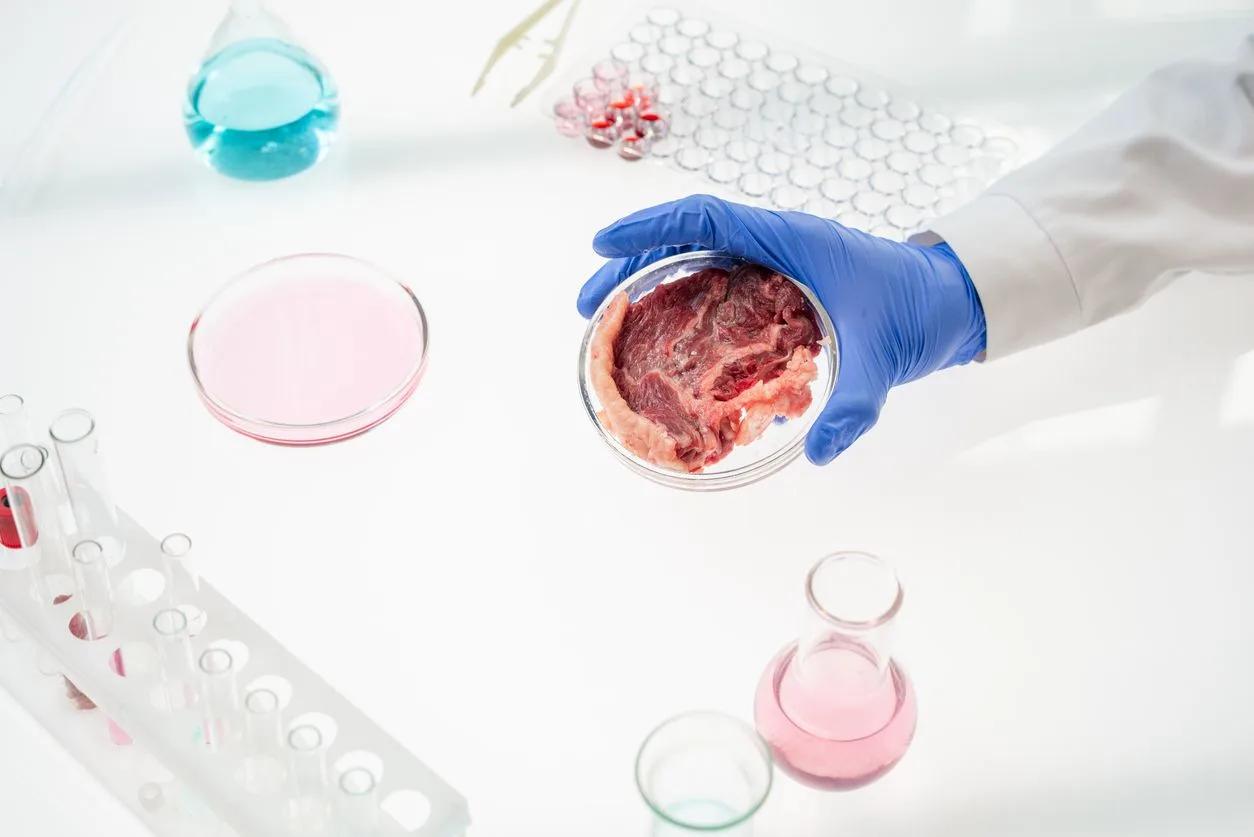 Equating lab-grown meat with animal meat is 'kooky thinking' - Alliance for Natural Health